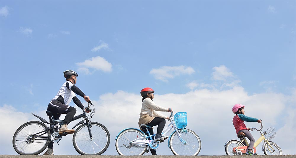 自転車保険のランキング