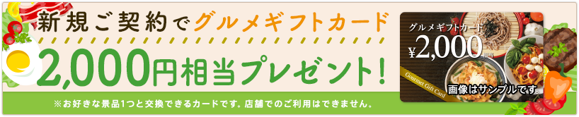 セゾン自動車火災